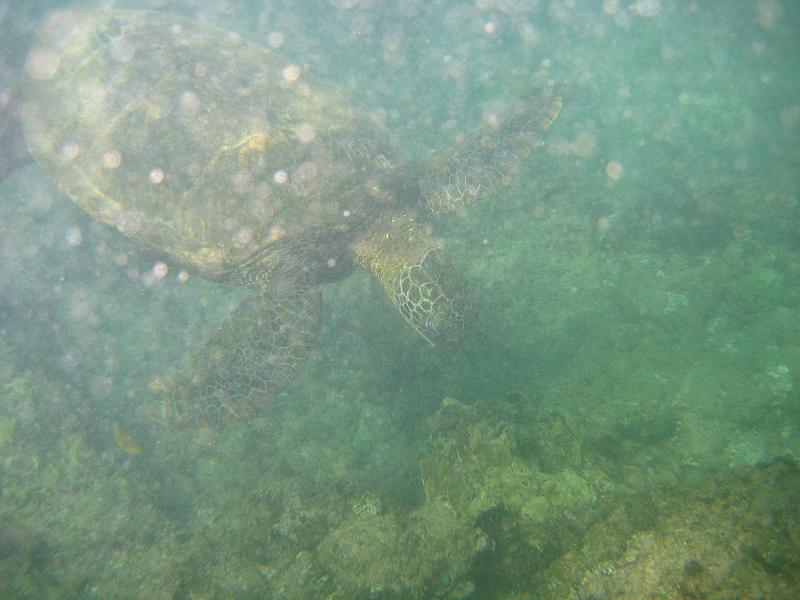 Picture 114